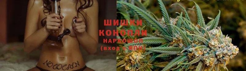 Бошки марихуана White Widow  Находка 